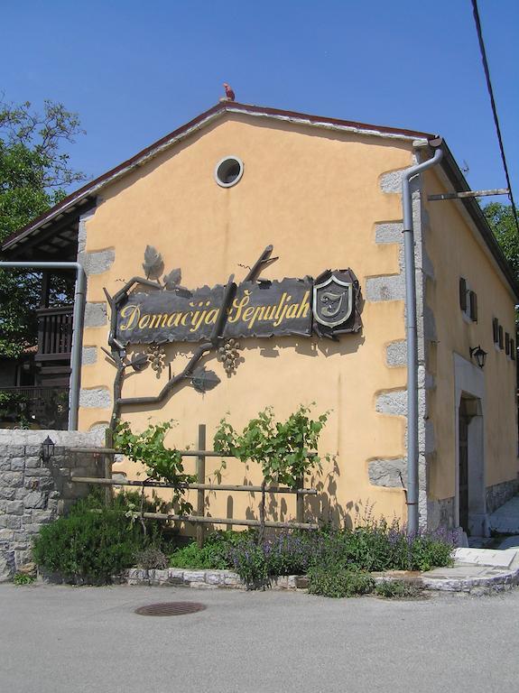 Guesthouse Domacija Sajna Sezana Bagian luar foto